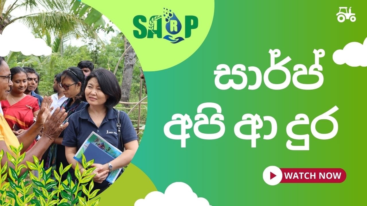 Seeds to Success: SARP&rsquo;s Remarkable Journey (2021&ndash;2025)
