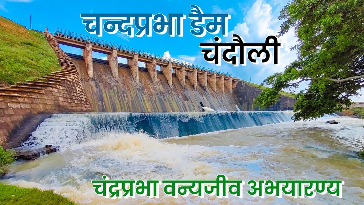 Chandraprabha Dam, Chandauli | Chandra prabha Wildlife Sanctuary | By ANISH VERMA #chandraprabhadam