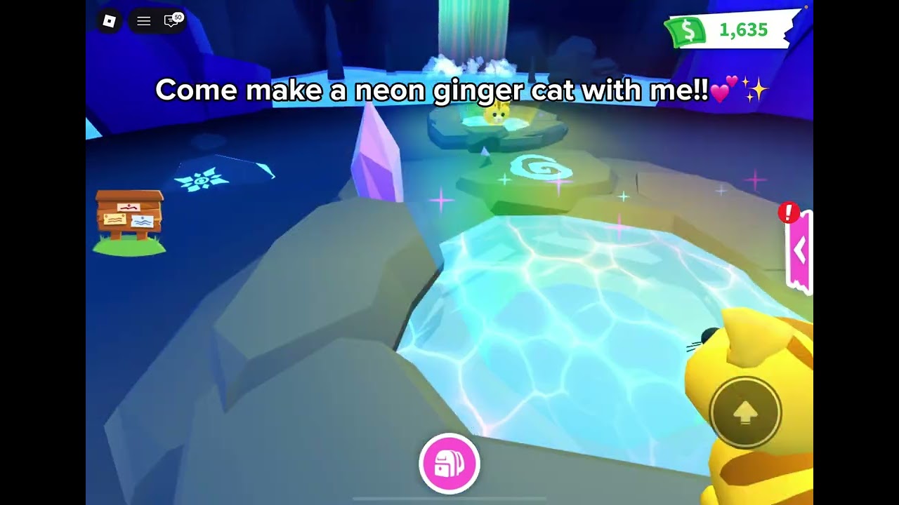 Making a neon ginger cat!!