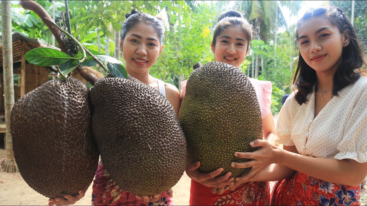 Yummy cooking Jack fruit chips recipe - Cooking skill