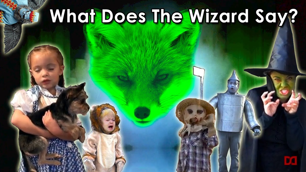 What Does The Wizard Say? Ylvis The Fox PARODY