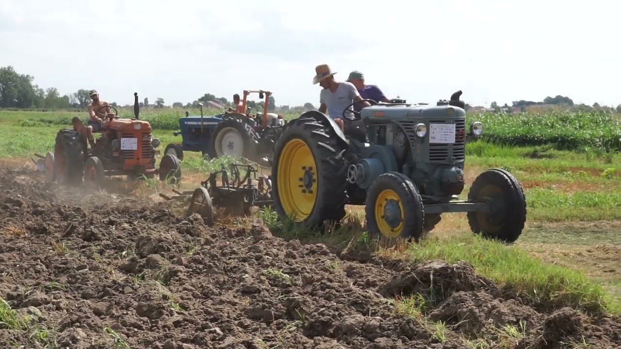 La nona edizione della Festa Contadina di Pissatola Trecenta