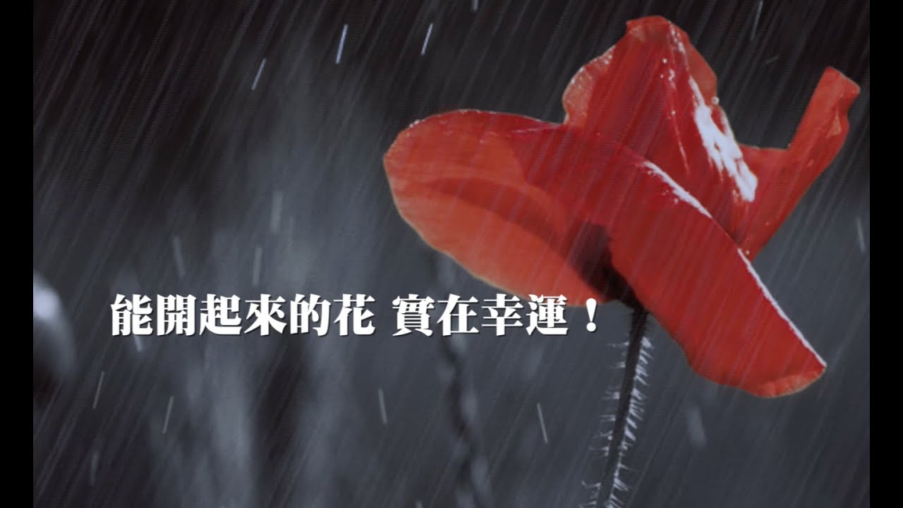 讓生活變美：思想規模｜姚仁祿的人生哲學（3-3）