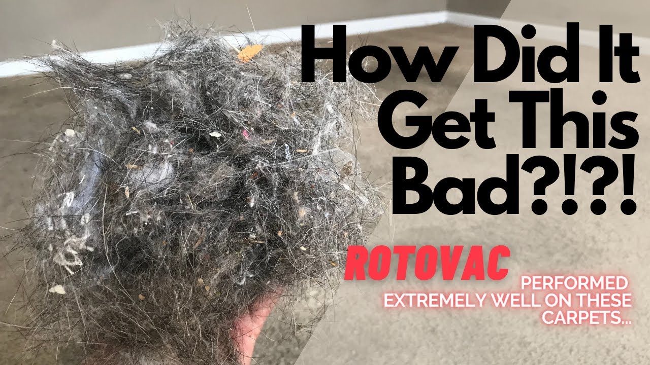 Rotovac Performed EXTREMELY Well on These REEALLY Dirty Carpets-Satisfying Vacuuming and CRB Action!