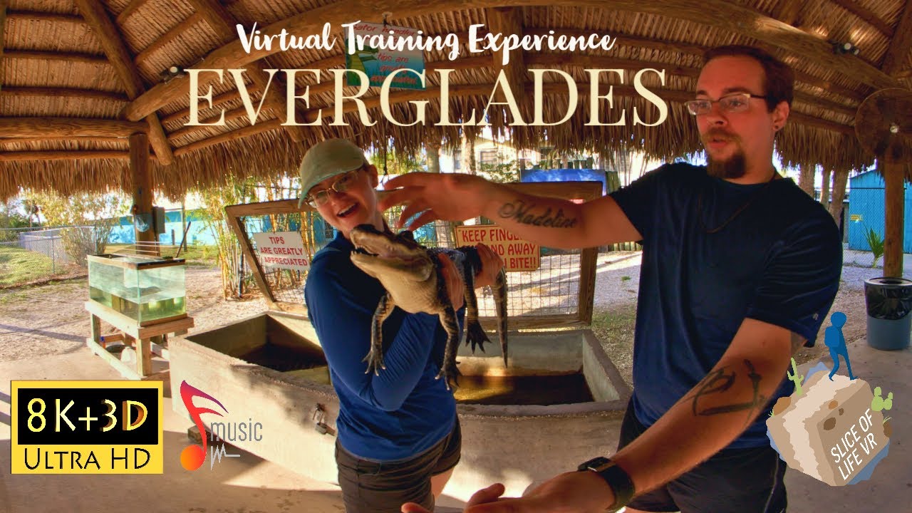 8k 3D Florida Everglades Airboat Tour/Gator Farm: How to avoid VR Motion Sickness Experience