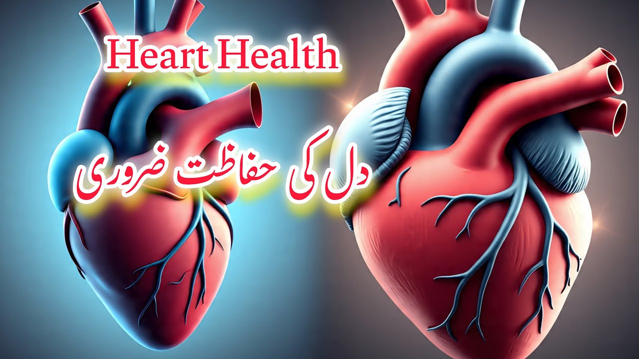 دل کی صحت کے اہم راز | صحت مند زندگی