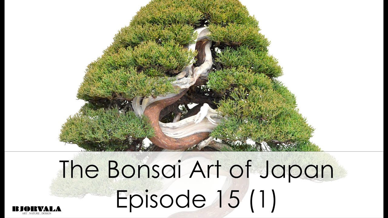 The Bonsai Art of Japan - Episode 15 Part 1.mov