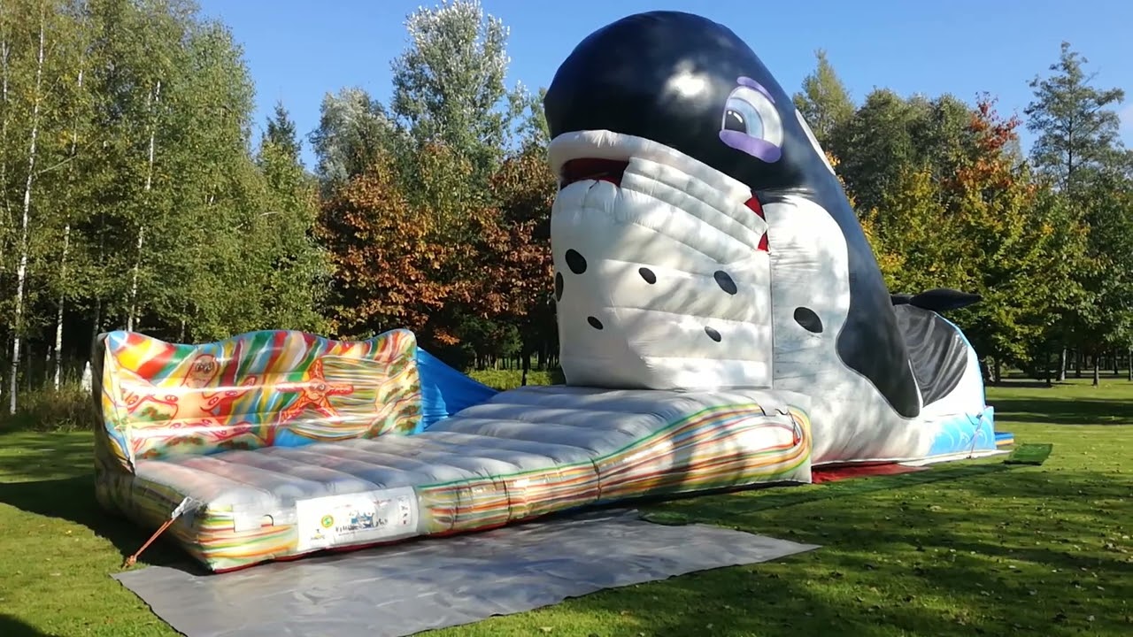 Dmuchaniec Orka - Połykacz