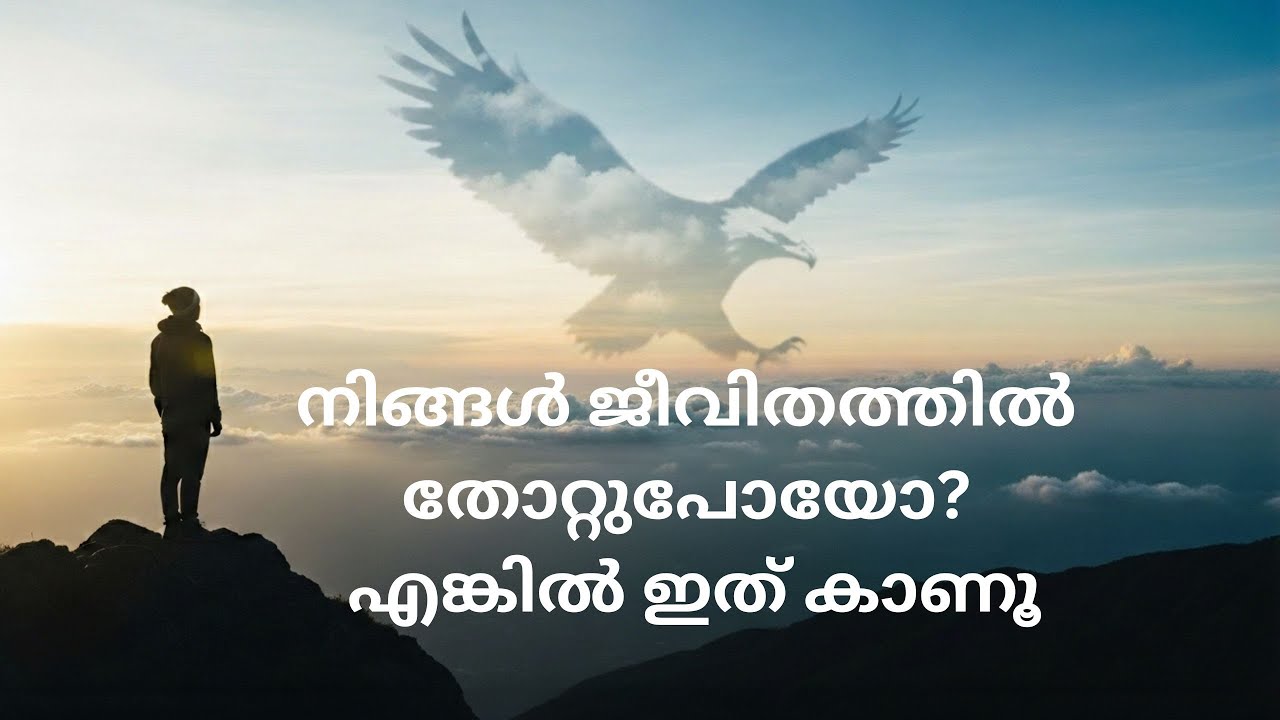 നിങ്ങൾ ജീവിതത്തിൽ തോറ്റുപോയോ?എങ്കിൽ ഇത് കാണൂ