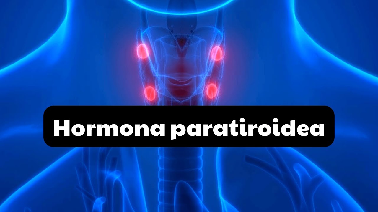 FISIOLOGÍA de la HORMONA PARATIROIDEA