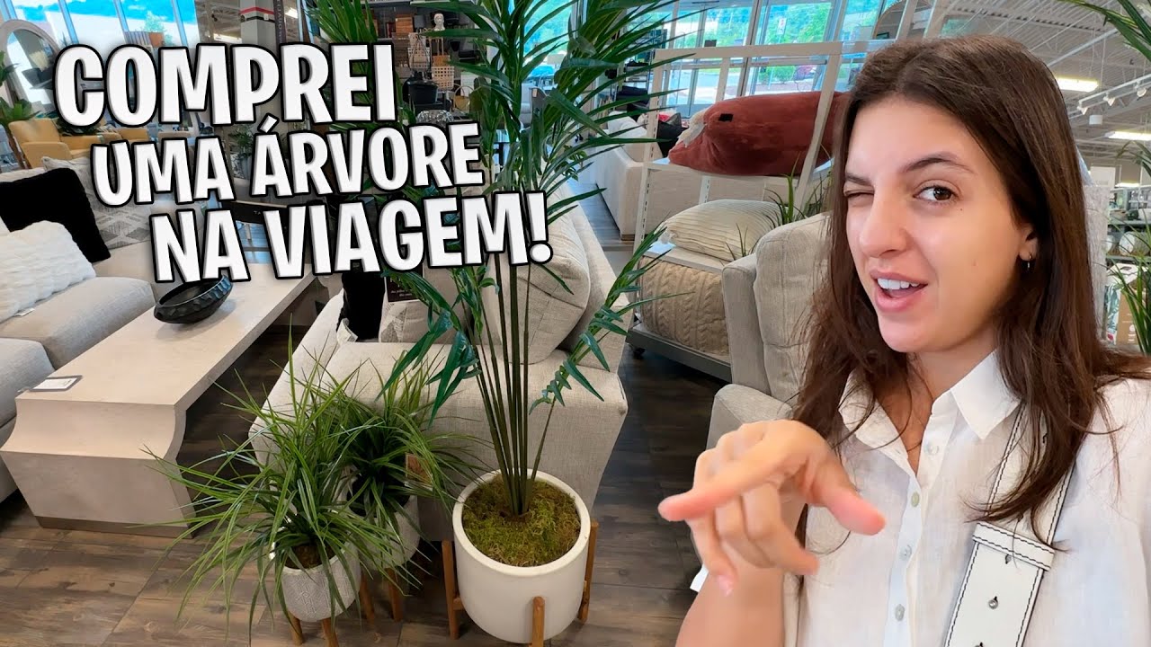 Comprei uma árvore linda para decorar nossa casa.