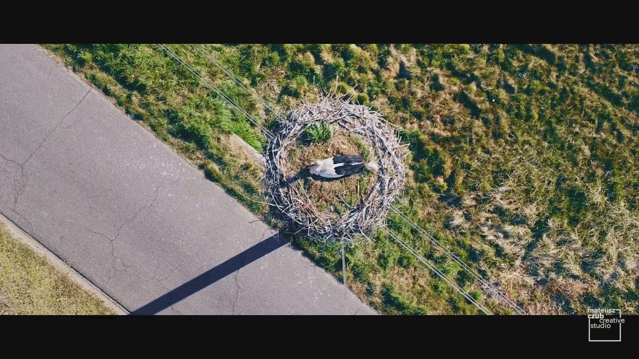 Mateusz Czub Creative Studio - Drone Views