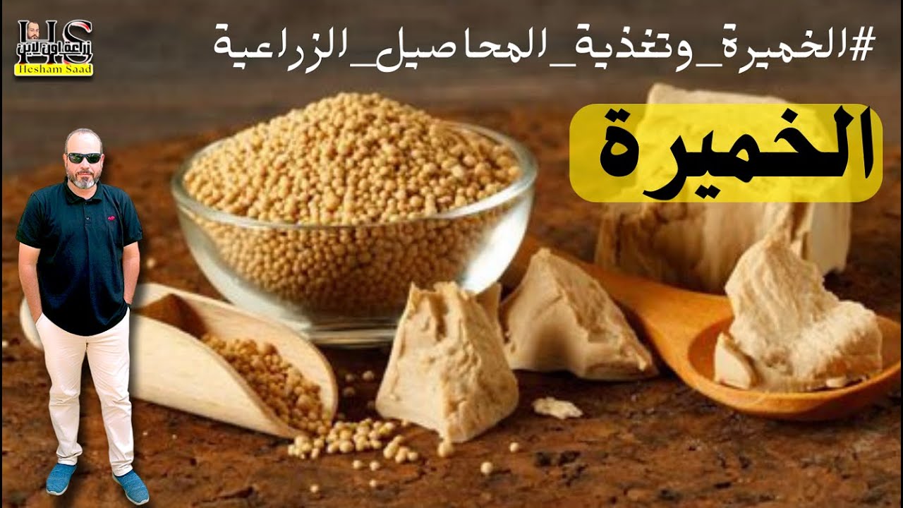 إزاي تستخدم الخميرة في الزراعة 2025 لزيادة إنتاجية المحاصيل؟ 🌱