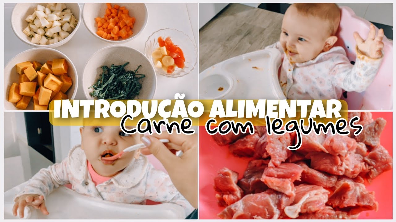 como fazer papinha de carne para bebê - papinha de músculo com legumes - receitas para a IA