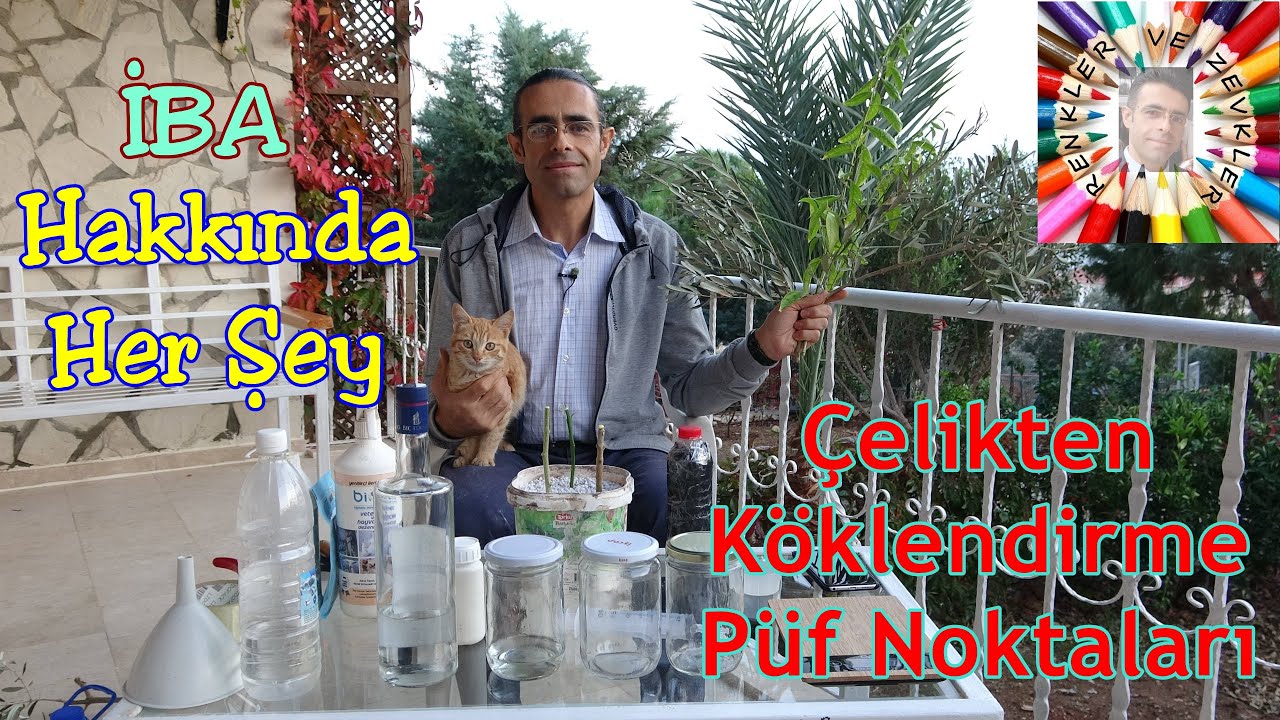 8000 PPM lik İBA Hazırlama (Köklendirici Hormon)