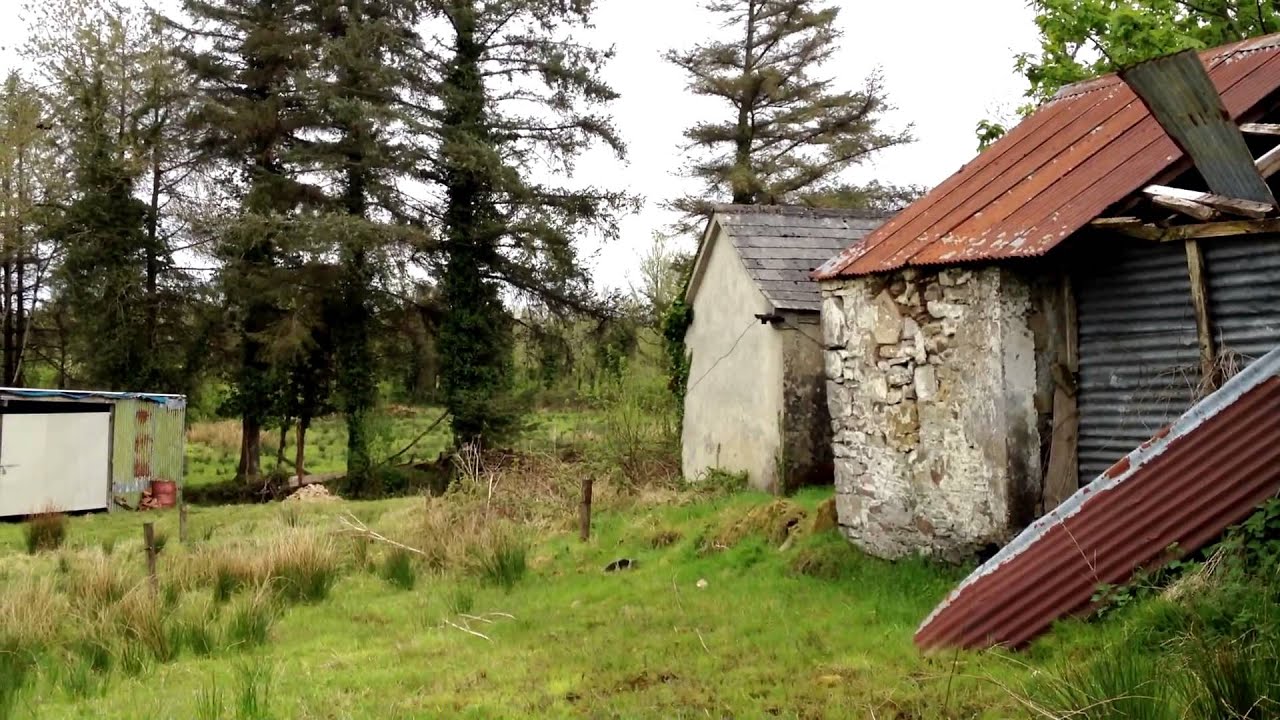 Faughnan Family Farm - Clooncliva, County Leitrim, Ireland