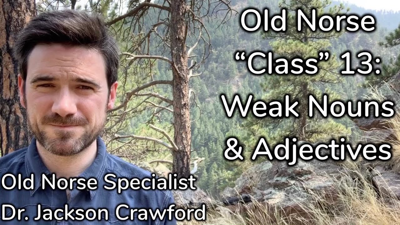 Old Norse class 13: Weak Nouns and Adjectives
