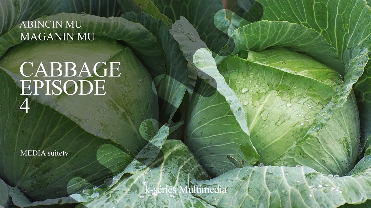 Abincin mu Maganin mu kashi na 4  CABBAGE