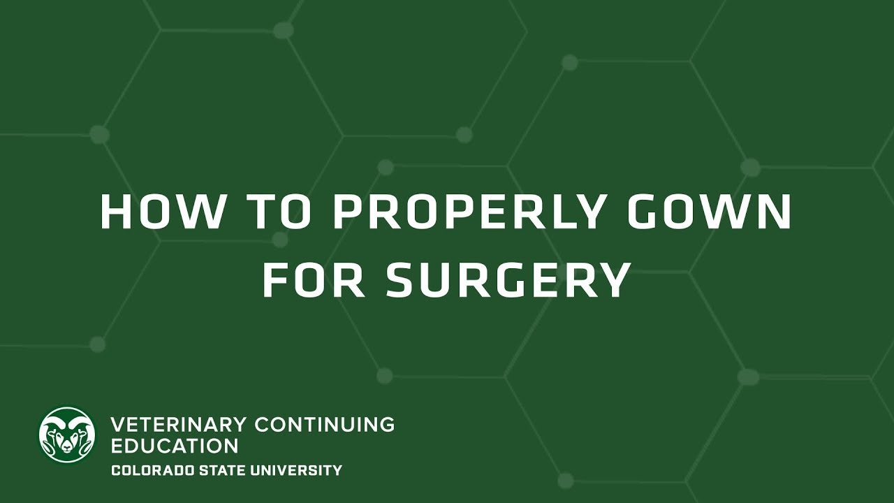 How To Properly Gown For Surgery (Brought to you by CSU VetCE)