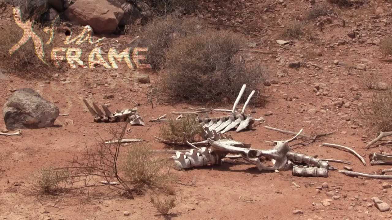 Retired Xtra Frame Interstitial - Desert