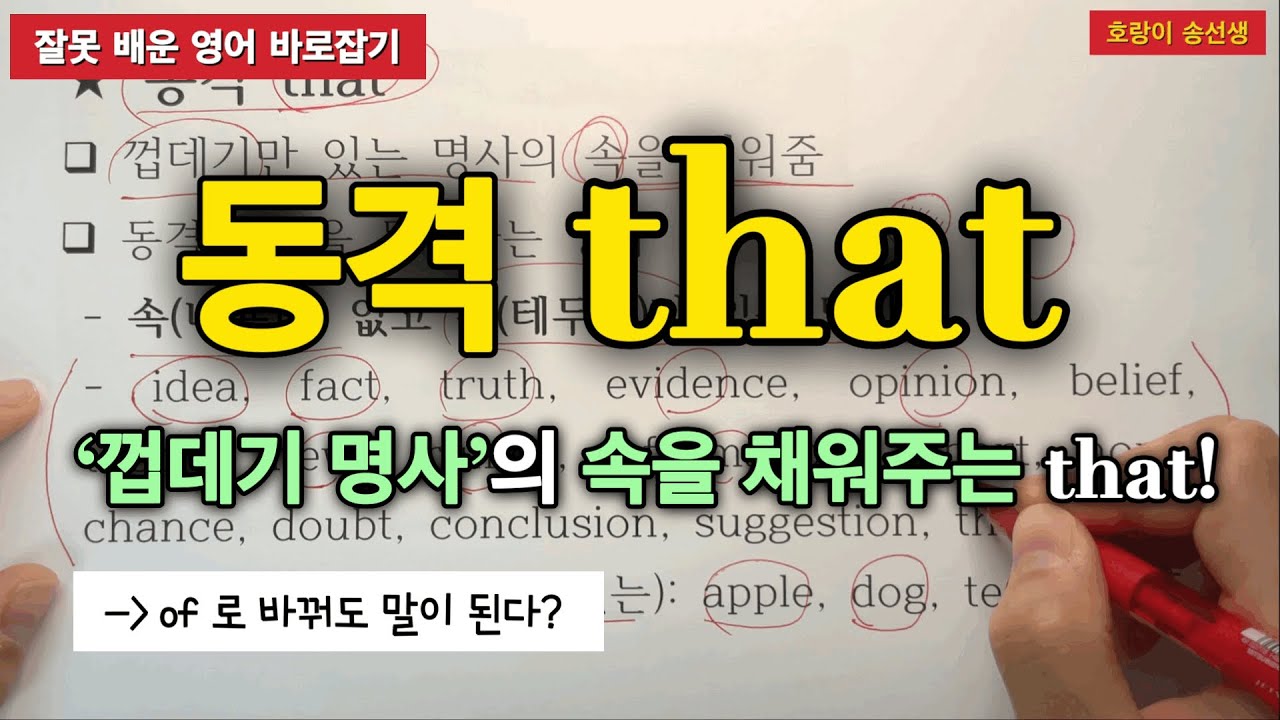 동격 that  / 진짜 의미, 이제 확실히 정리해드립니다!