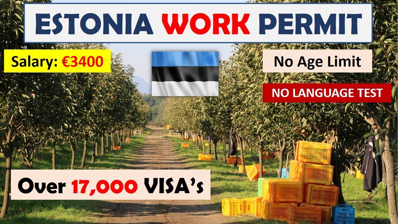 Почти 10 000 вакансий | Ищете работу в Эстонии? Рабочая виза в Эстонию | Owafk Africa
