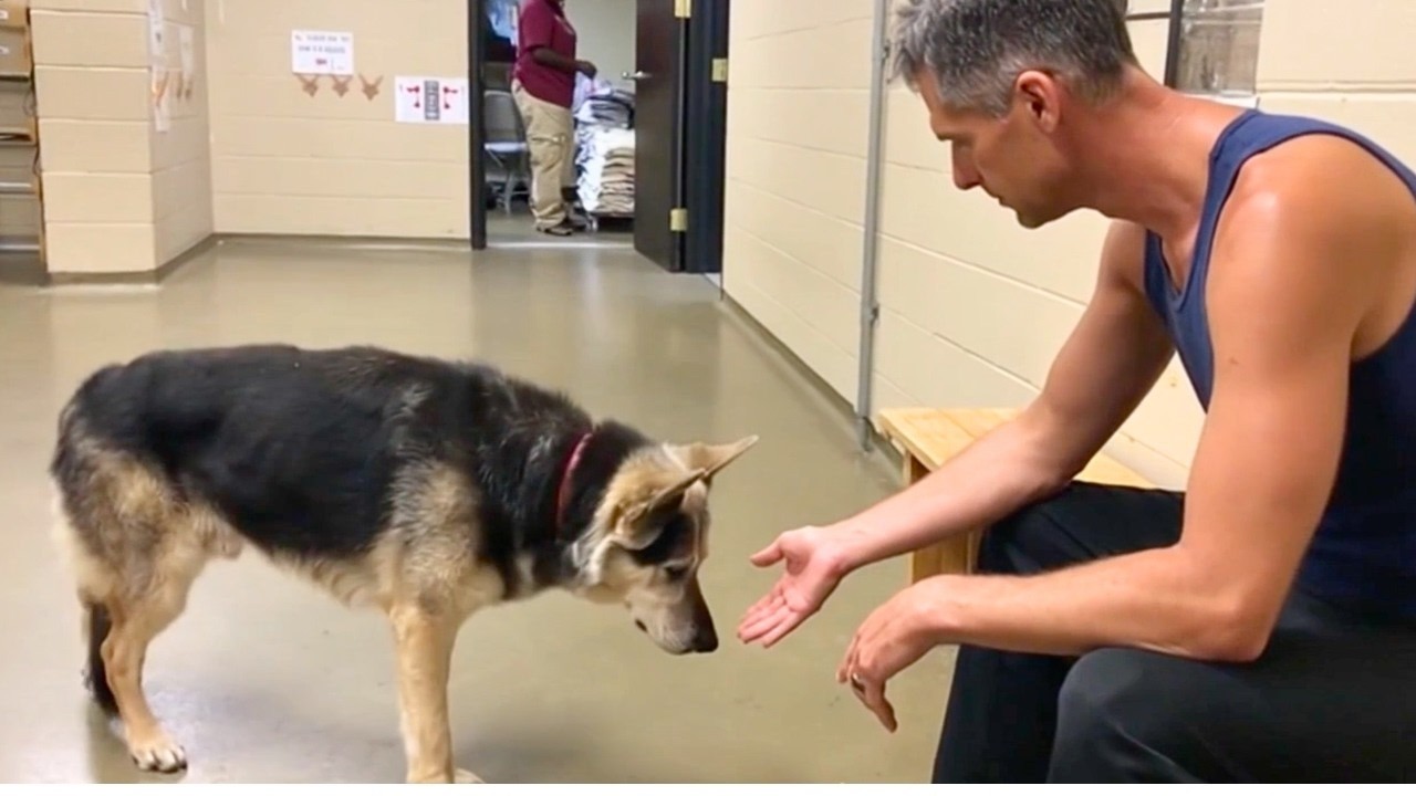 Fue rechazado por todas las familias el d&iacute;a de la adopci&oacute;n... hasta que un hombre entr&oacute; corriendo.