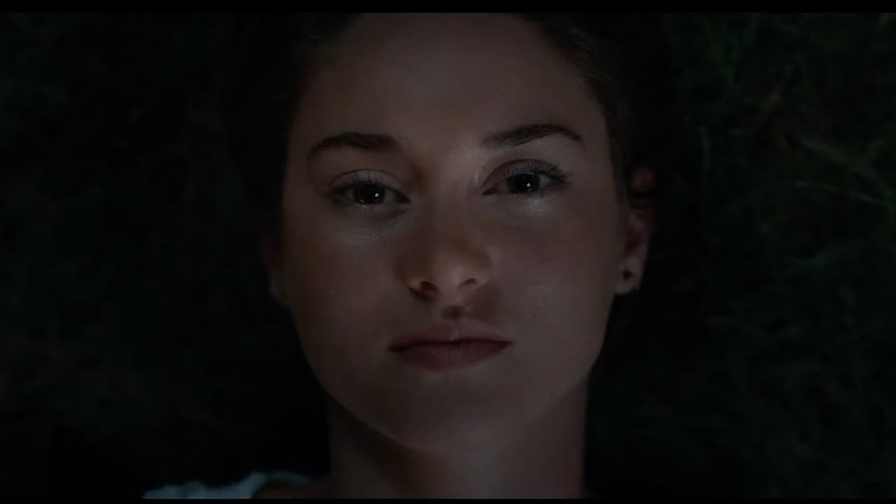 Metaphor | Skinny Love - Birdy