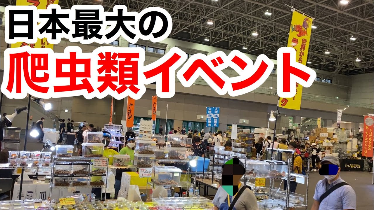 日本最大の爬虫類イベント、ジャパンレプタイルズショーが楽し過ぎた・・・！