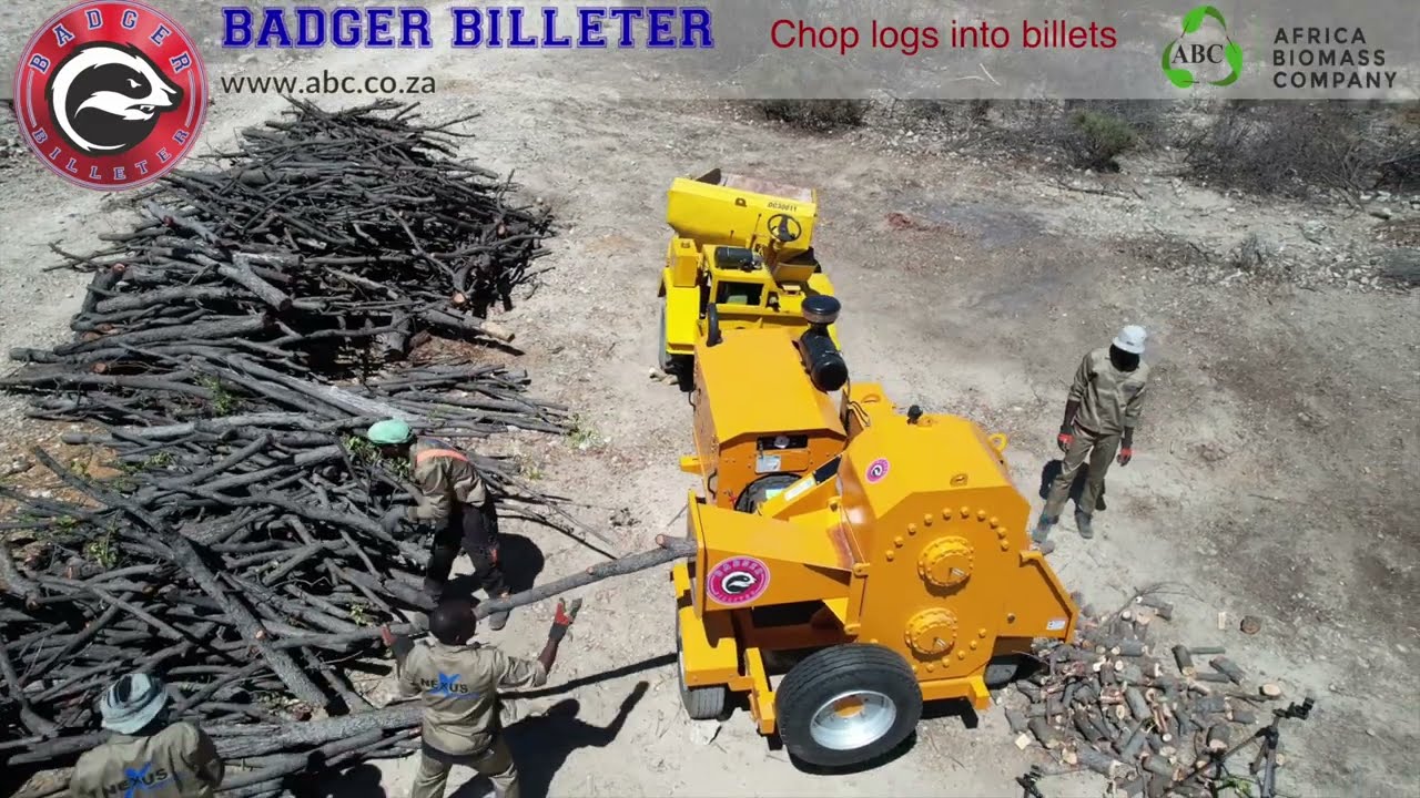ABC Handfed Badger Billeter working in Namibia