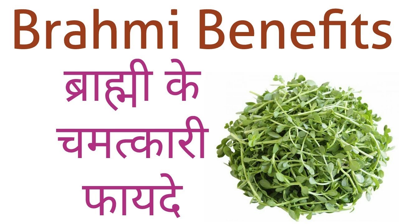 Brahmi ke faide | Brahmi Benefits Hindi/Urdu