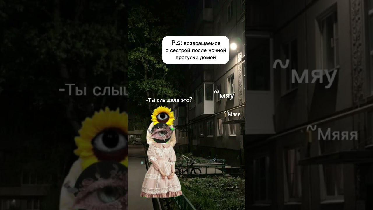 Каждый раз сердце разрывается💔 #dreamcore #котики #вайб #cat #кот #lofimusic #aesthetic #дримкор