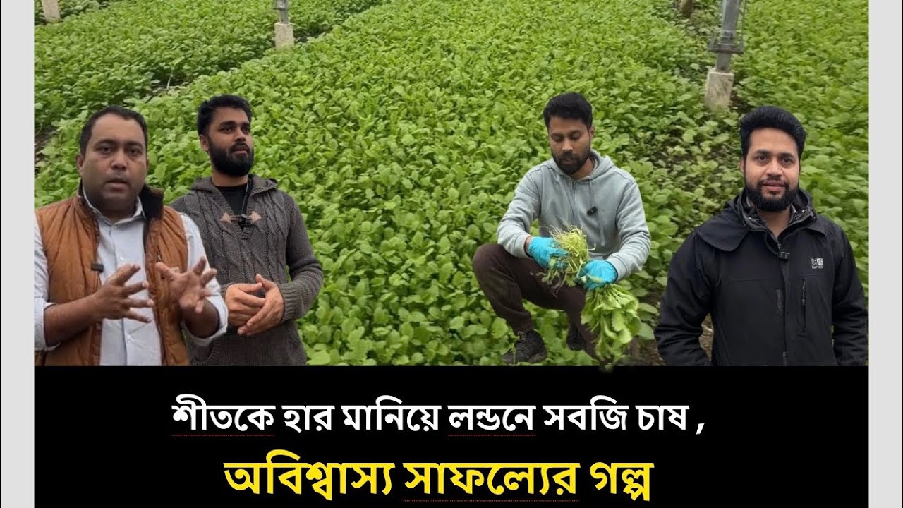শীতকে হার মানিয়ে লন্ডনে সবজি চাষ , অবিশ্বাস্য সাফল্যের গল্প | Runner Tv 