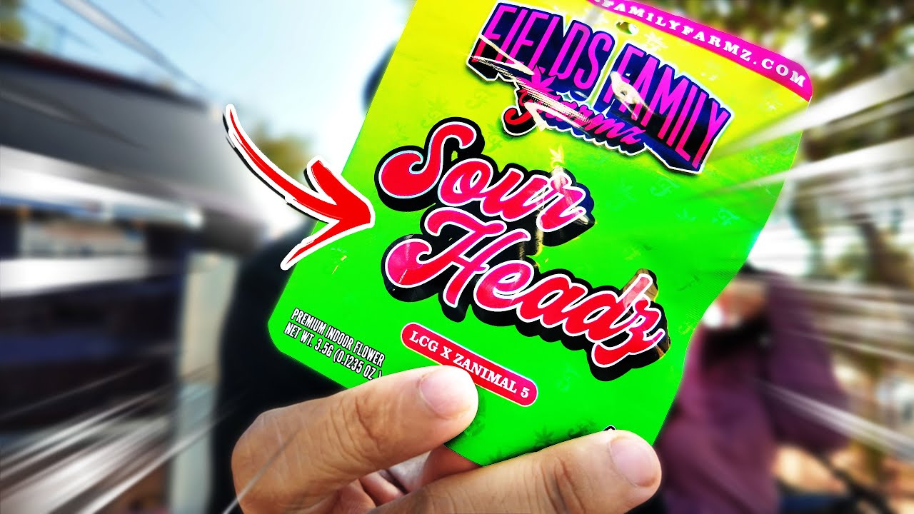 ЭТИ SOUR HEADS БЫЛИ НА ВЫСШЕМ УРОВНЕ!