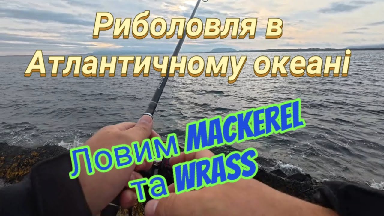 Риболовля в Атлантичному океані. Ловим Макрель та Губань #рибалка #риболовля #рибалкавокеані