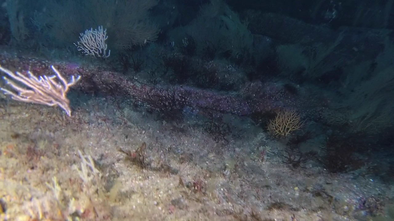 Cabo Matxitxako