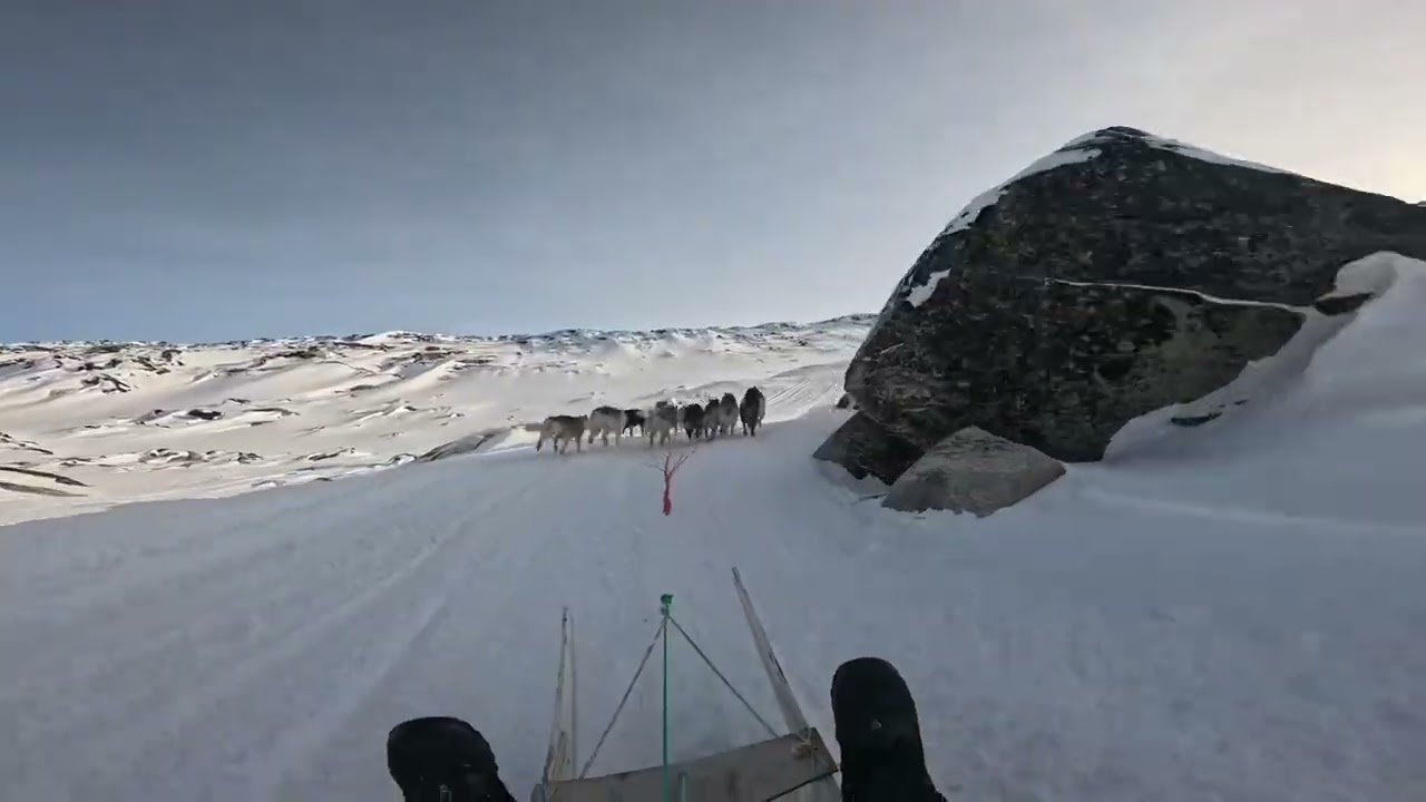 Anngunniunneq 2025, Henrik Jensen Ilulissat