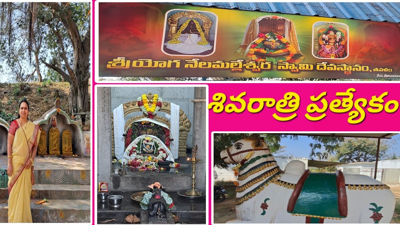 స్వయంభువుగా వెలసిన నేలమల్లేశ్వర స్వామి దేవాలయ దర్శనం /తవలం, మదనపల్లి /Nela Malleswara Swami Temple 