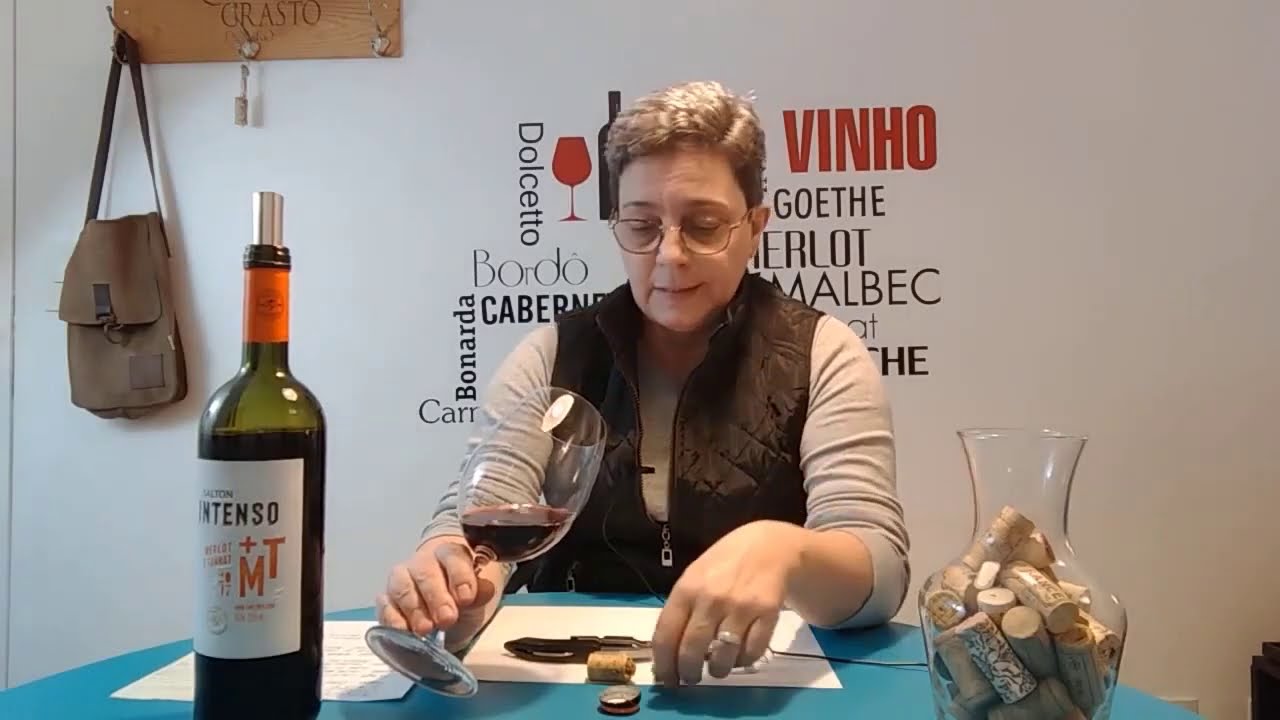 Vinho Salton Intenso Merlot-Tanat, 2017 - Vinhos de Supermercado - Epis&oacute;dio 16
