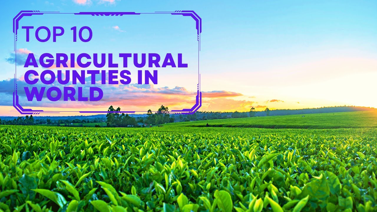 Top 10 agricultural countries in world