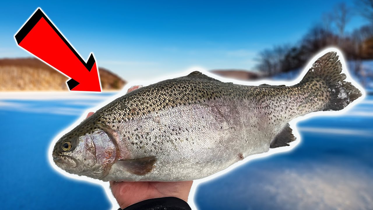 Fishing A Hidden Lake in the Allegheny National Forest! (Late Ice Fishing)