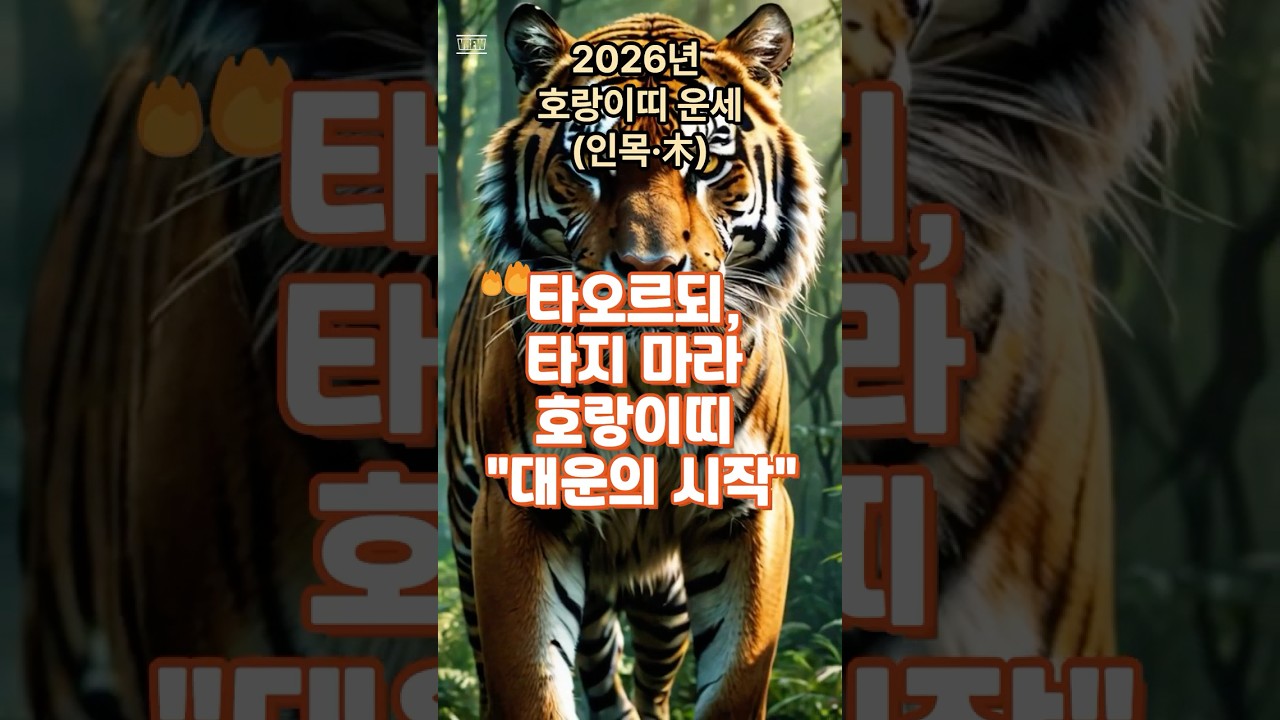 2026년 호랑이띠운세