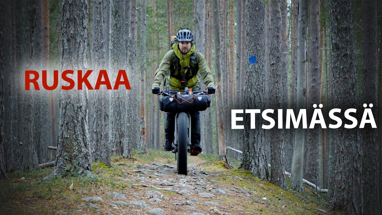 Yhden yön syksyinen Bikepacking-retki