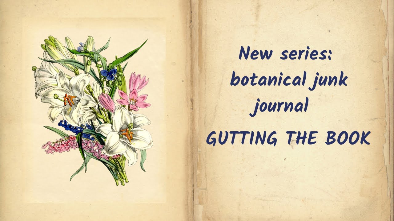 Let’s tear this book apart to create a botanical journal- gutting the text block