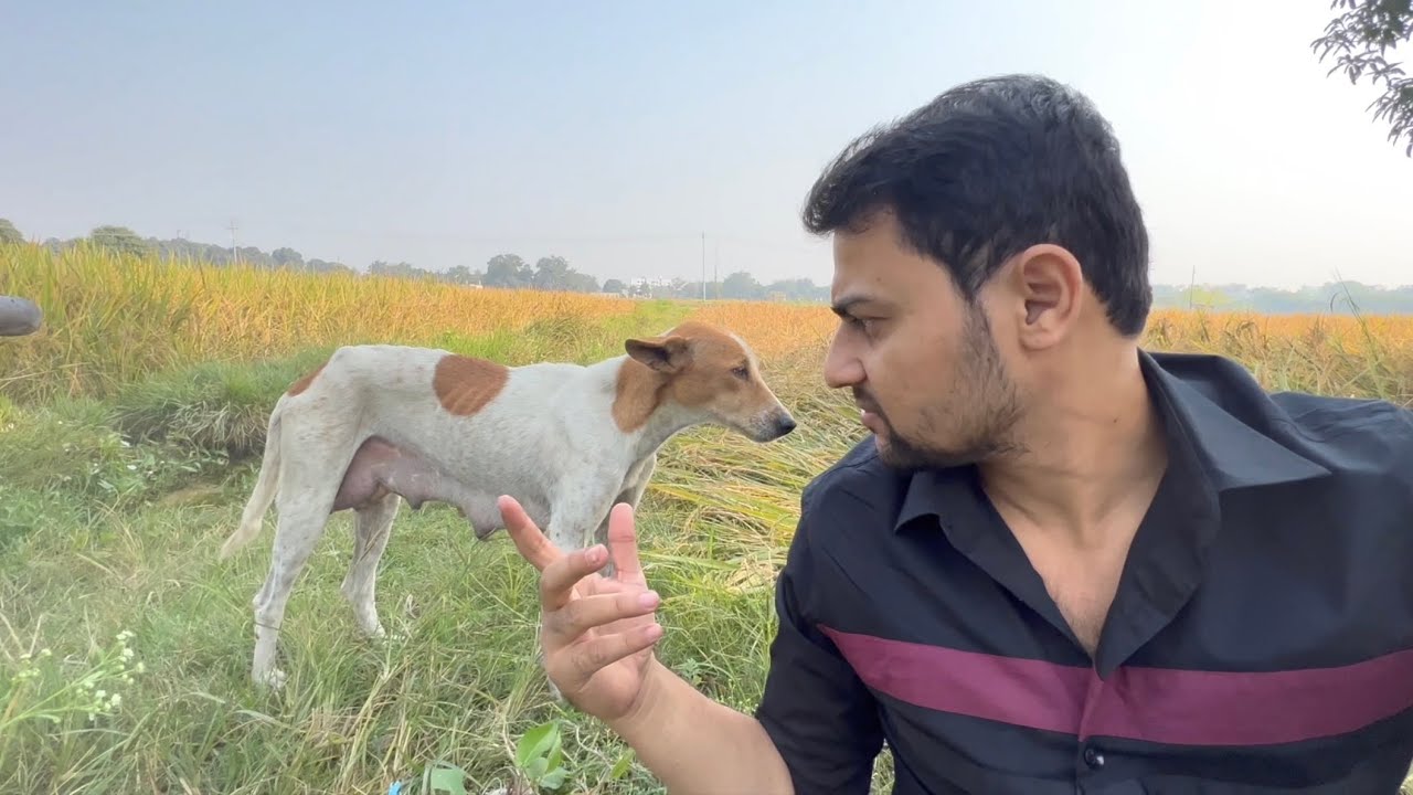 Promo | YouTube Income | सवाल जवाब