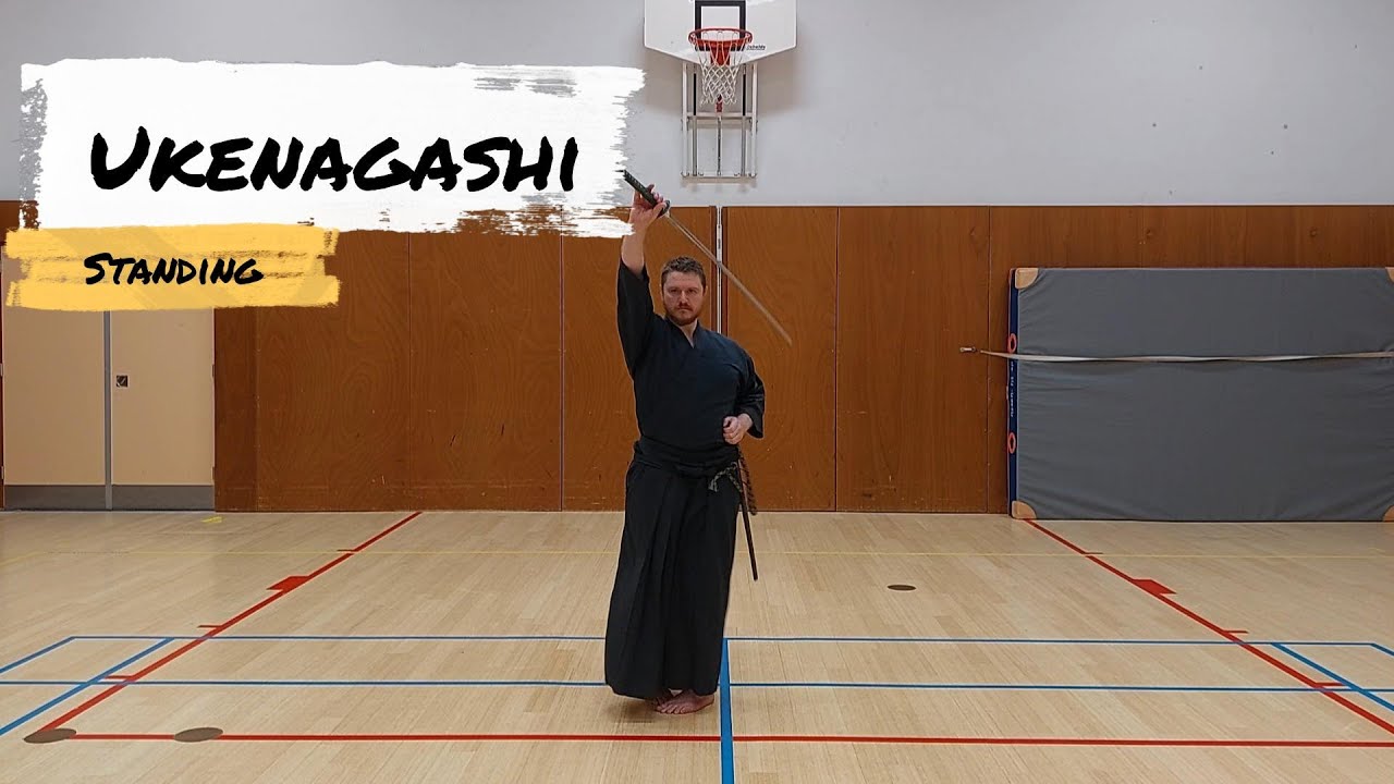 iaido: znkr 3rd kata. Ukenagashi(variant for people with leg problems)