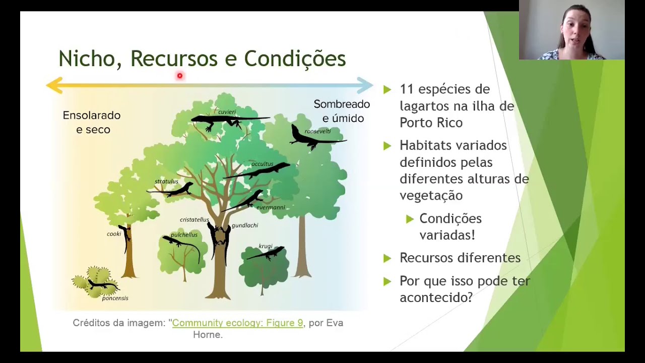 Conceitos de Nicho e Habitat - Ecologia