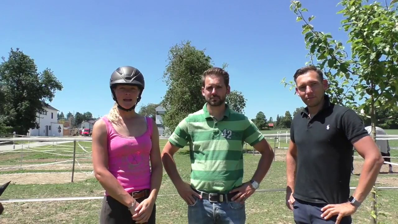 Pferdebeine richtig kühlen - Regeneration maximieren