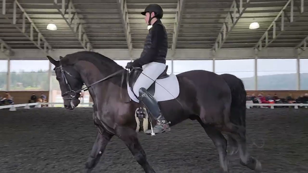 23-26 1st Level Test 3 - River Run Symposium W/ Kristi Wysocki