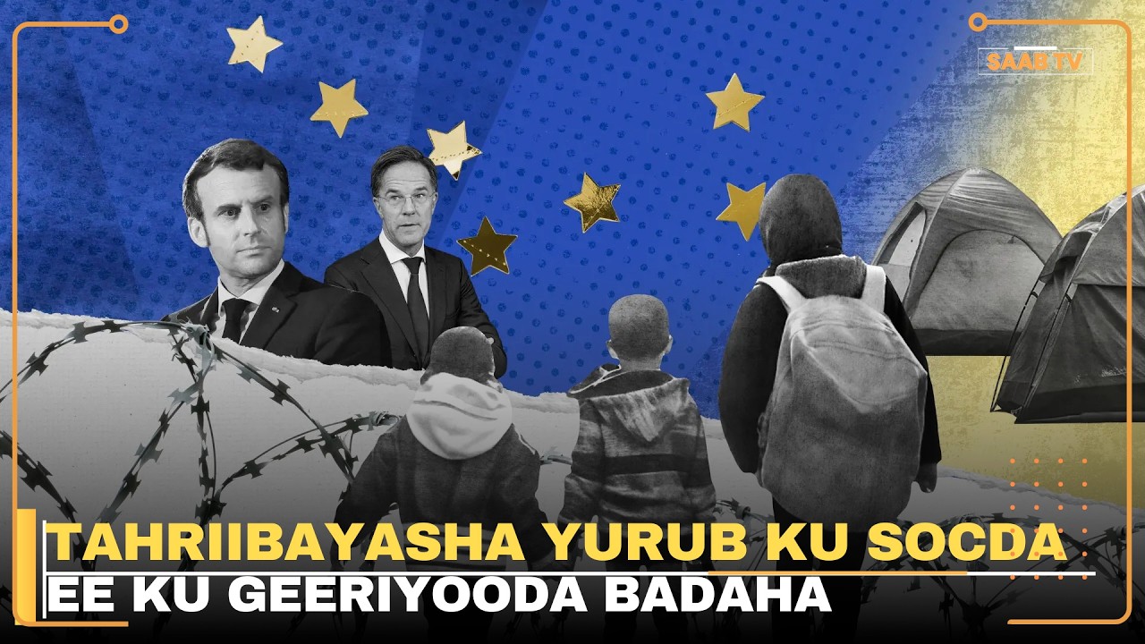 Walaac laga muujiyey Tahriibayaasha sannad gudihii ku geeriyooday badaha